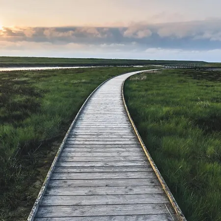 Haus Ostwind - Mit Infrarotsauna, Garten Und Dachterrasse *